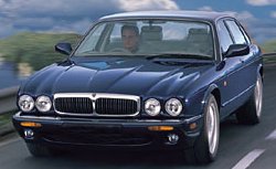 jaguar